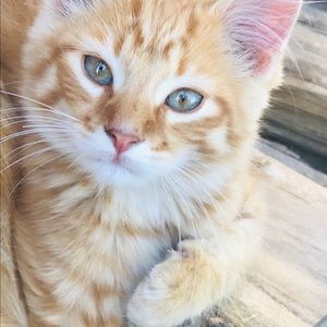 Meet your Posher, Seanna